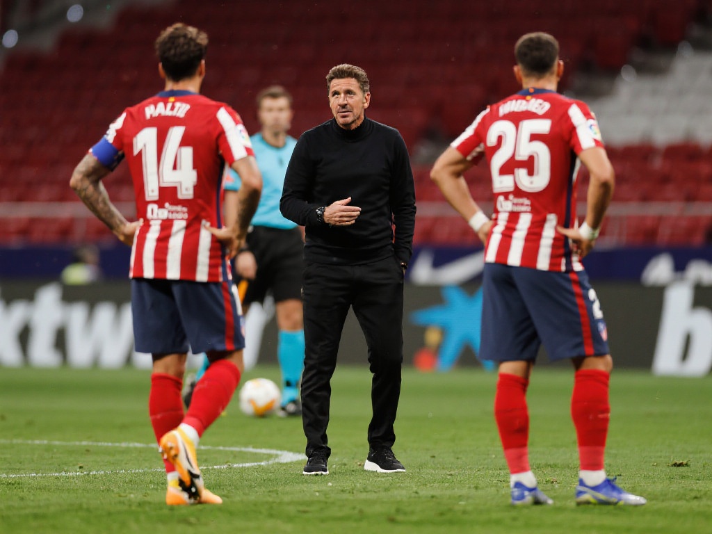 提供了坚实 提供了坚实